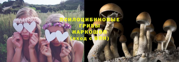 PSILOCYBIN Абинск